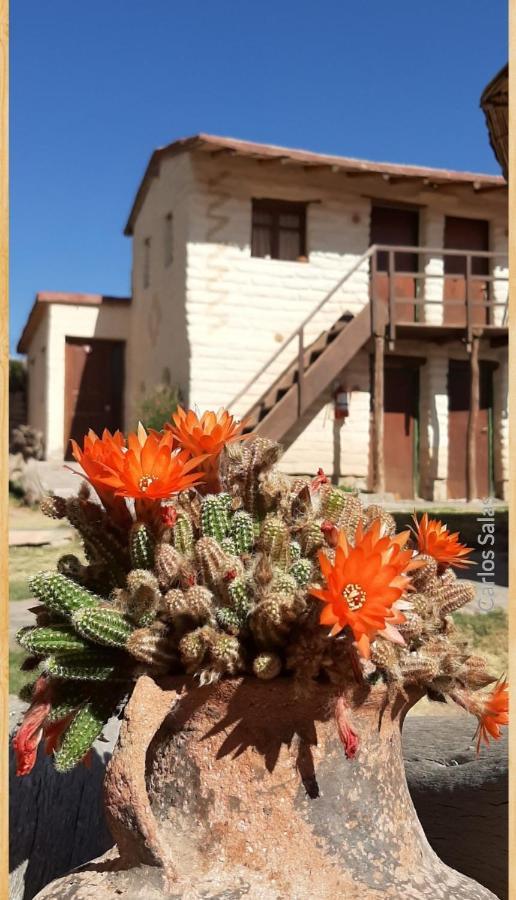 El Sol Hostel De Humahuaca Buitenkant foto